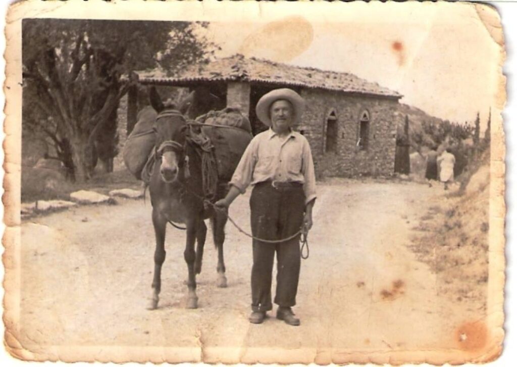 ΙΣΤΟΡΙΑ, ΠΑΡΑΔΟΣΗ, ΓΝΩΣΗ – Όλη η διαδρομή της αμπελοκαλλιέργειας στο ΜΟΥΣΕΙΟ ΟΙΝΟΥ του ΕΟΣ Σάμου