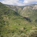 01_SAMOS