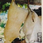 ΔΕΡΜΑΤΙΑ ΠΟΥ ΣΤΡΑΓΓΙΖΟΥΝ