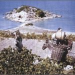 στο Κοκκάρι