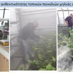φουζικλάδιο