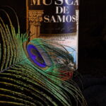 muscat de samos