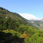 DCIM100MEDIADJI_0118.JPG