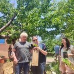 ΒΙΟΔΥΝΑΜΙΚΟΣ ΑΜΠΕΛΩΝΑΣ ΣΤΑΣΙΝΗ 3
