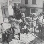 ΑΓΩΓΙΑΤΕΣ ΣΤΑ ΑΜΠΕΛΟΧΩΡΙΑ ΣΑΜΟΥ