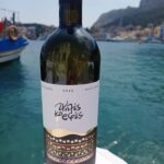 ΚΑΣΤΕΛΟΡΙΖΟ 1Α