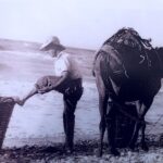 ΞΕΠΛΕΝΟΝΤΑΣ ΤΟΥΣ ΣΕΛΕΔΕΣ
