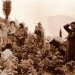 ΣΑΜΙΩΤΙΚΗ ΟΙΚΟΓΕΝΕΙΑ ΣΤΟΝ ΤΡΥΓΟ